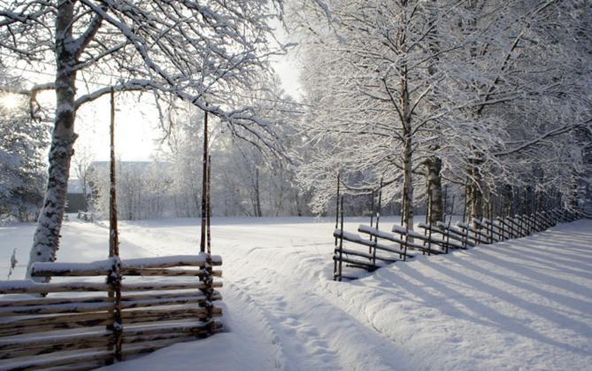 Mannflogarden Bed & Breakfast , Saelenfjaellen Экстерьер фото