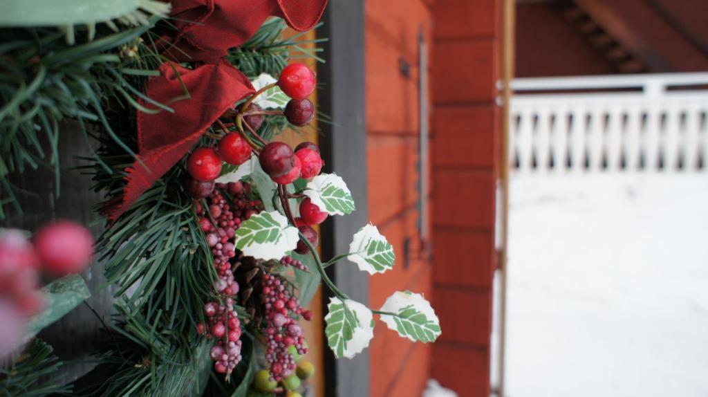 Mannflogarden Bed & Breakfast , Saelenfjaellen Экстерьер фото
